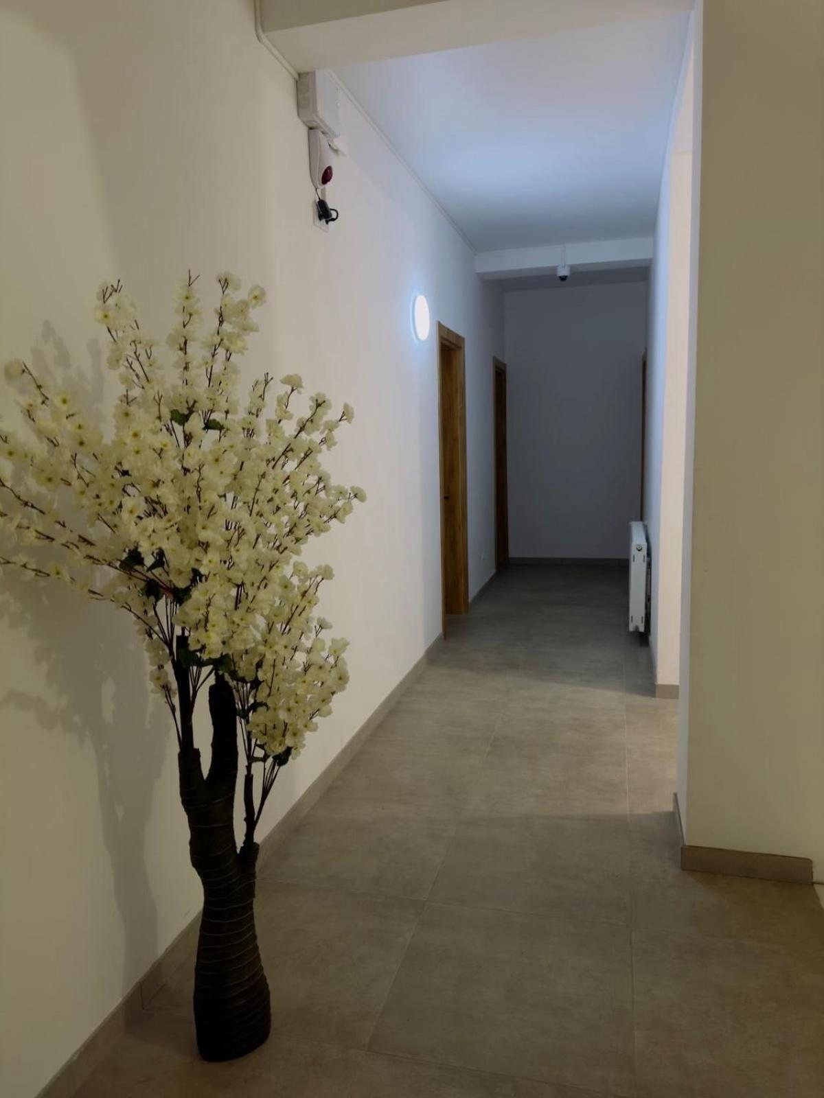 Chalet Kazbegi Hotel ภายนอก รูปภาพ